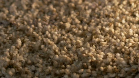 Macro closeup soft beige carpet rug texture Stock Footage 122493290