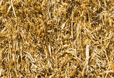 Macro Closeup of Straw Stock Photos