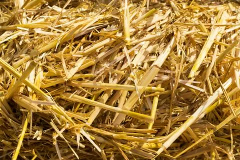 Macro Closeup of Straw Stock Photos