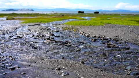 Macro closeup of stream with running water on rocks Stock Footage 79597696