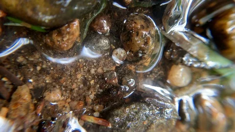 Macro Closeup of water gently flowing over and around shallow riverbed sediment Stock Footage 117374187