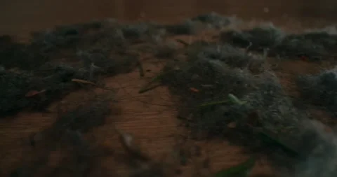 Macro of clutter and dust on the ground.... | Stock Video | Pond5