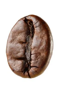 Macro coffee bean Stock Photos