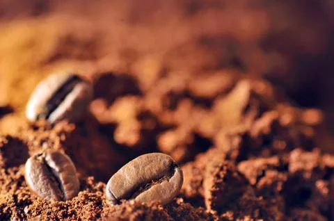 Macro coffee beans and ground coffee Stock Photos