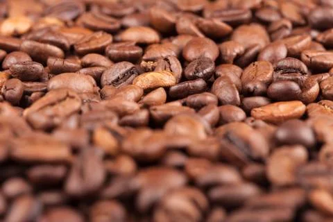 Macro coffee beans background Stock Photos