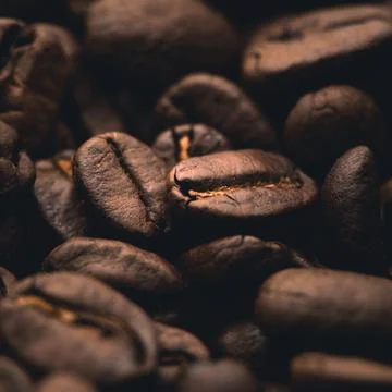Macro of Coffee beans shot with shallow depth of field Stock Photos