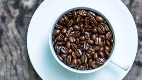 Macro of coffee seed in a cup Stock Photos