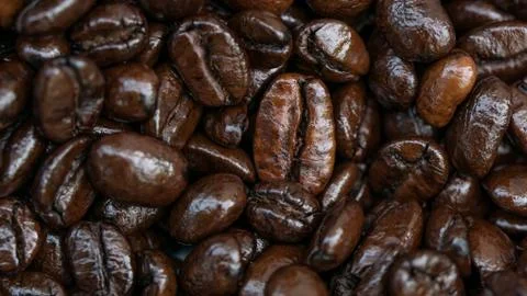 Macro of coffee seed Fotos Stock