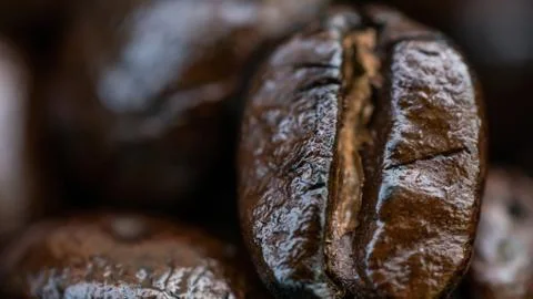 Macro of coffee seed Fotos Stock