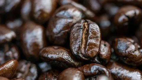 Macro of coffee seed Fotos Stock