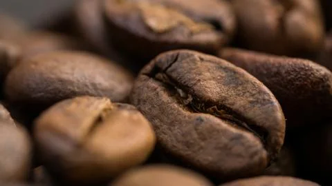 Macro of coffee seed Fotos Stock