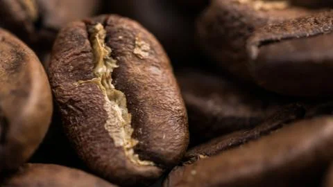 Macro of coffee seed Fotos Stock