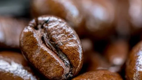 Macro of coffee seed roasted Stock Photos