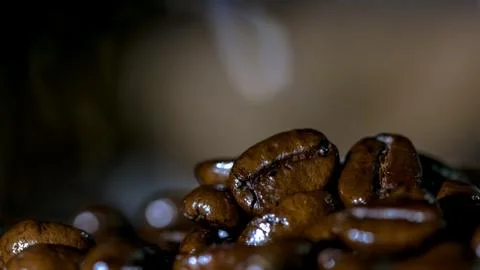 Macro of coffee seed roasted Stock Photos