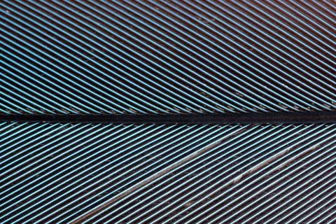 Macro colorful feather pattern Stock Photos