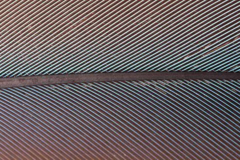 Macro colorful feather pattern Stock Photos