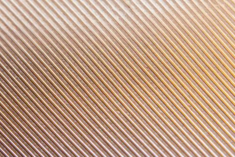 Macro colorful feather pattern Stock Photos