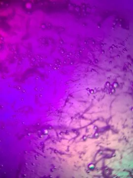 Macro colorful soap bubbles gradient abstract background blue pink Stock Photos