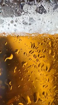 Macro composition golden beer with bubbles and foam in a glass Stock Photos