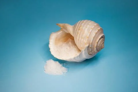 Macro Conch Shell With Sea Salt Spill On Blue Background, Copy Space Фото