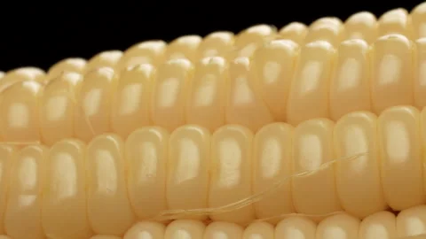 Macro Cooked Sweet Corn Kernels on Black Background Stock Footage 327536678