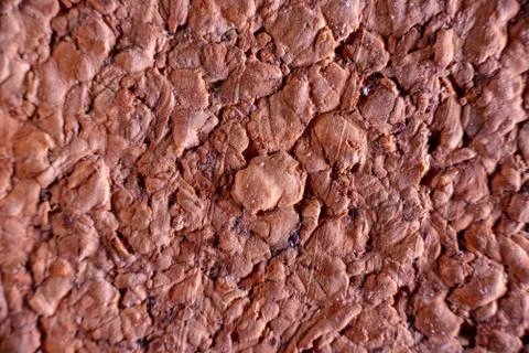Macro of a cork texture for graphic design Stock Photos