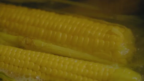 Macro, Corn Is Boiled in Boiling Water in Metal Bar Stock Footage 140475420