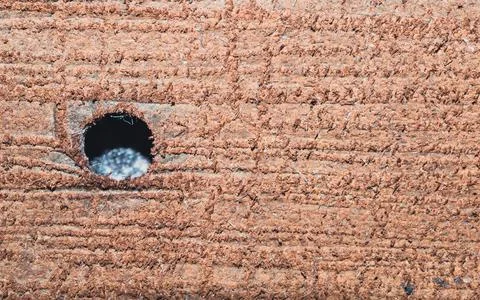 Macro of corrugated cardboard texture with round hole Stock Photos