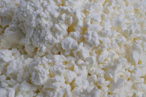 Macro cottage cheese texture pattern, repetitive lumpy curds forming abstract Foto stock