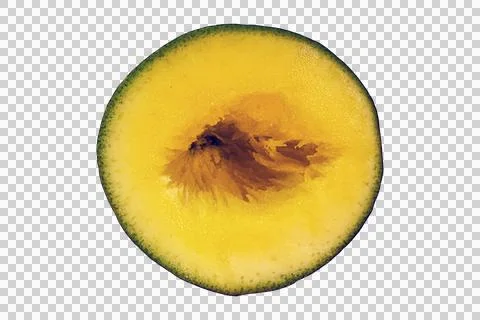 Macro cross section mango slice showing fibrous seed and vibrant pulp Stock Photos