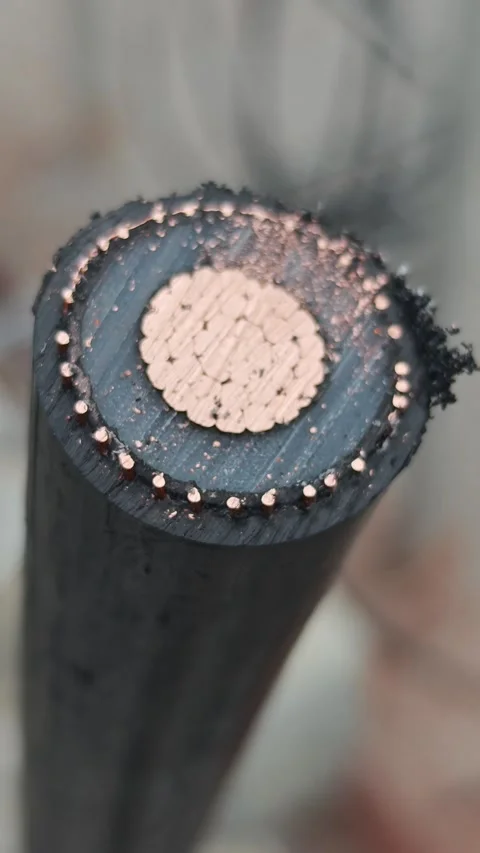 Macro cross section view of high voltage underground copper power cable cor.. Stock Footage 338017515