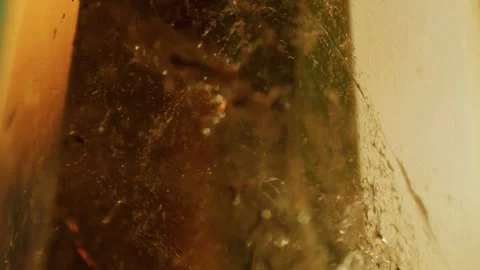 Macro Crystal Refracting Light, Extreme Close Up Stock Footage 346245612
