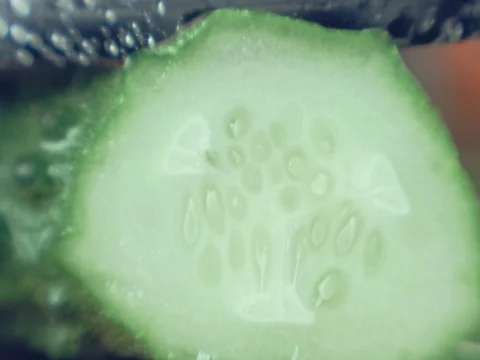 Macro cucumber. Stock Footage 80244542