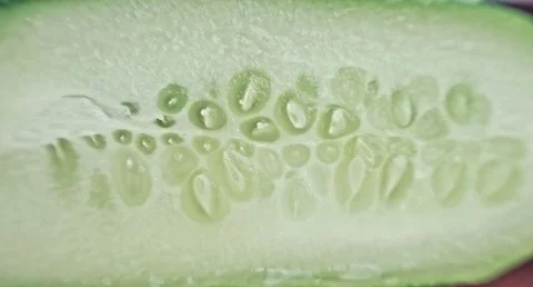 Macro cucumber. Stock Footage 80249594