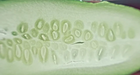 Macro cucumber. Stock Footage 80249665