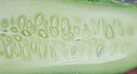 Macro cucumber. Stock Footage 80249774
