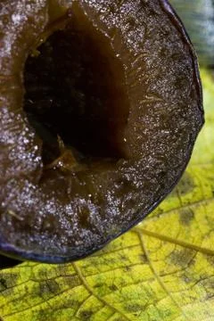 Macro, cut, blue, leaflet, glare, water, harshness, detail, design Stock Photos