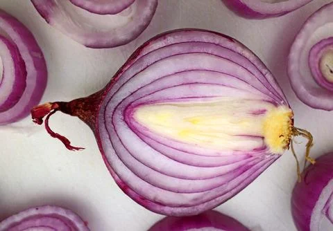 Macro of a cut red Onion Stock Photos