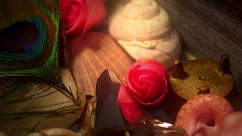 Macro of delicate objects under soft light Stock Footage 288125364