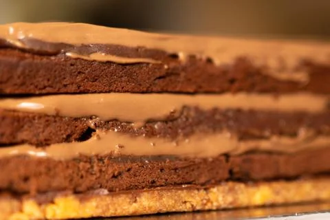 Macro delicious chocolate cake ,texture of Chocolate cake Stock Photos