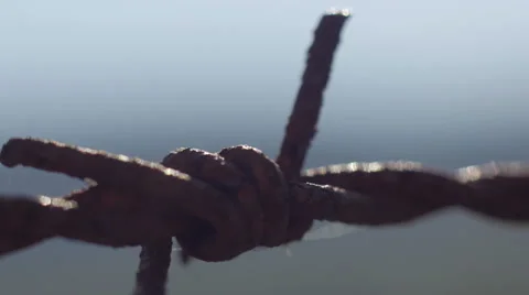 Macro detail of a barbwire Stock-Footage 58610714