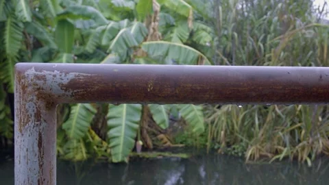 Macro Detail Of Dew On Rail Stock Footage 338342209