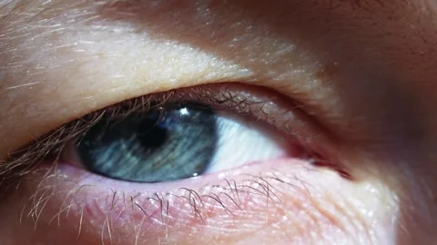 Macro Detail of Human Eye Stock Footage 265874696