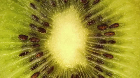 Macro details of a kiwi slice rotating top view.Macro food.bio food. Stock Footage 152260721