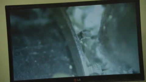 MACRO of diamonds being placed into ring Stock Footage 253305439