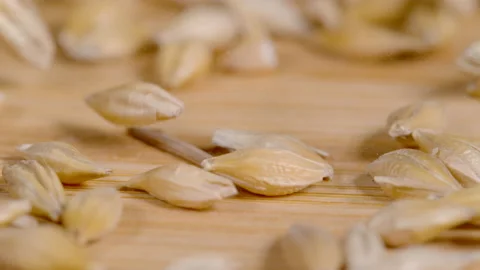 MACRO, DOF: Tiny grain seeds falling and bouncing around the dining table. Stock Footage 164444765