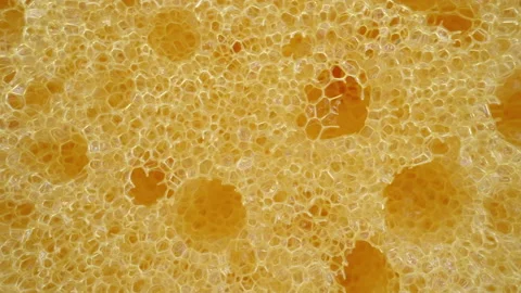 Macro dolly kitchen sponge for washing, detailed porous yellow foam texture Stock Footage 233893732