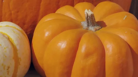 Macro Dolly Out from Fall Pumpkins Stock Footage 68543247