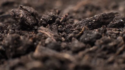 Macro dolly shot of beautiful organic black garden soil. Stock Footage 89495972