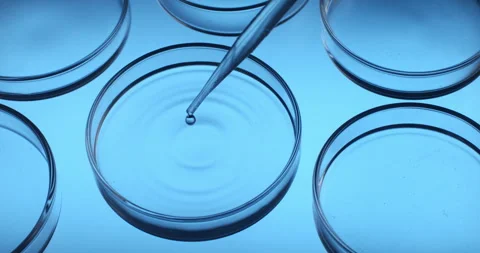 Macro of dripping drop of DNA sample molecules added to petri dish in laboratory Stock Footage 268449388